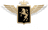 Developer Logo